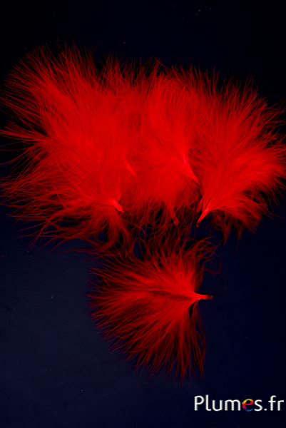 Dinde marabout - 8-12 cm - rouge